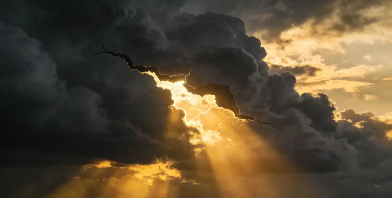 内江肺癌11基因检测组织版图片1